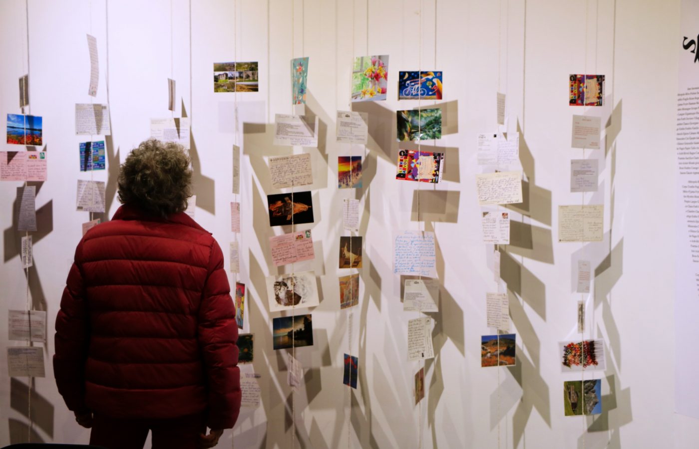 Photo d'une personne qui regarde les cartes postales Livres à vous