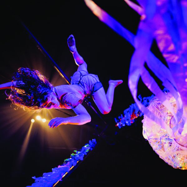 Le Vent dans les Oreilles