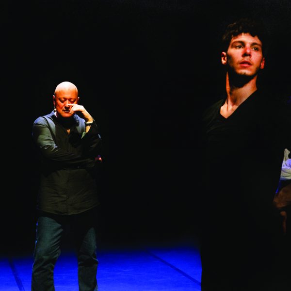 Les Ailes en chiffon